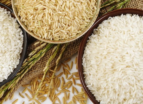 خرید و قیمت برنج هاشمی پاکوتاه + فروش صادراتی